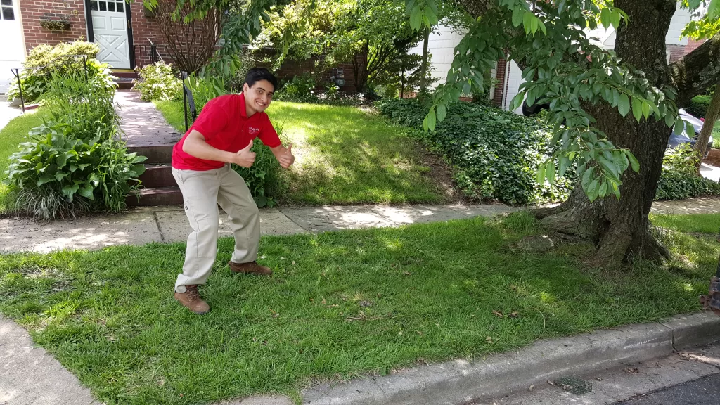 Glen Burnie Junk Removal 1 Clean Curb