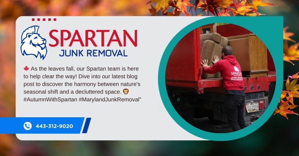 Spartan Junk Removal helping in Autumn