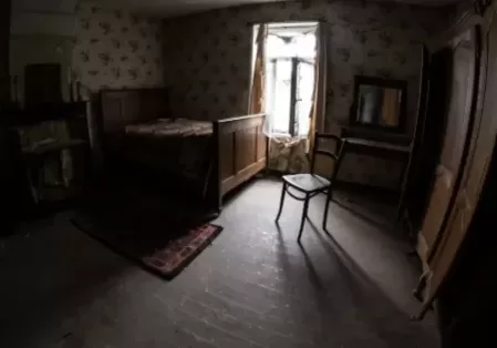 Estate Cleanout