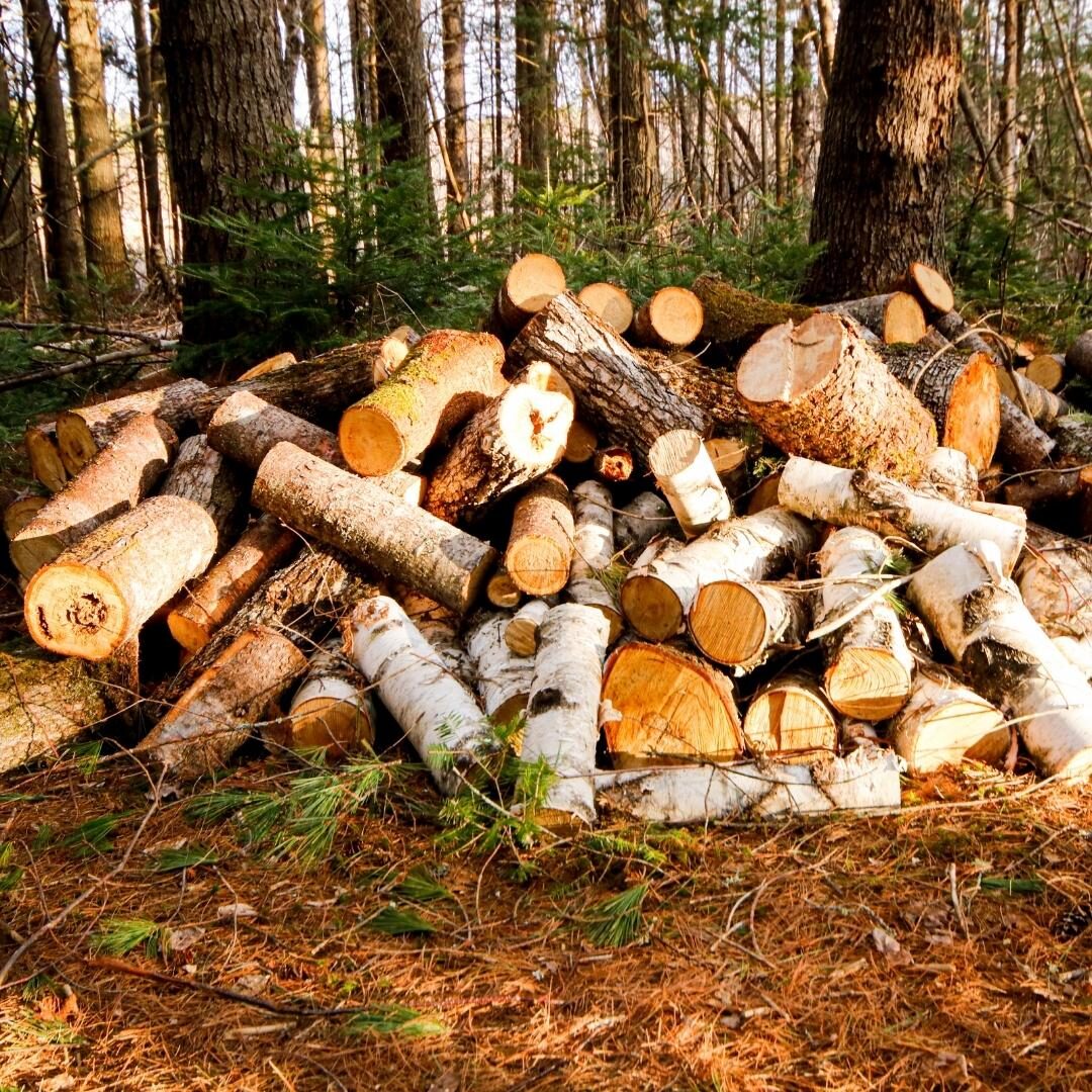 A pile of wood outside