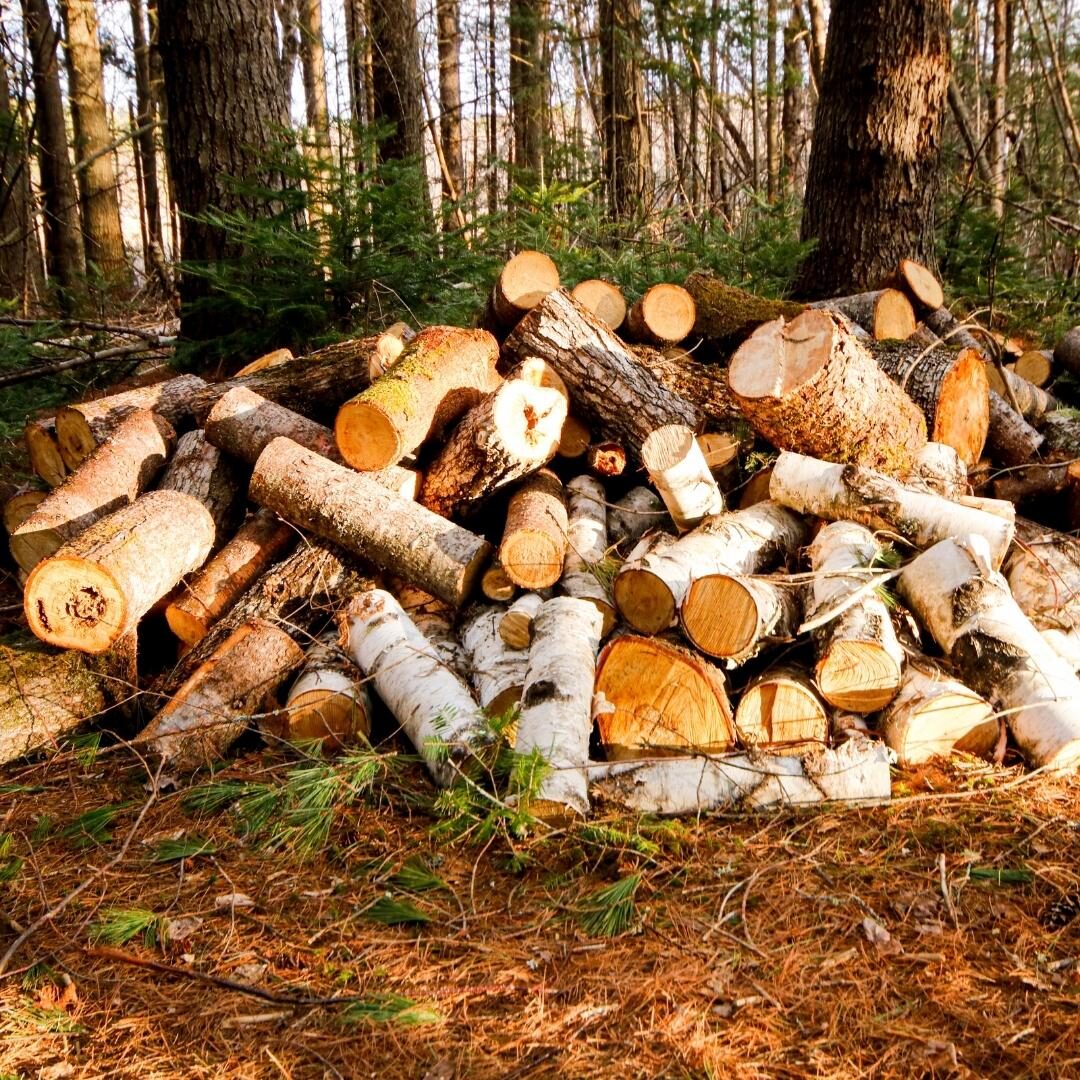A Pile Of Wood Outside